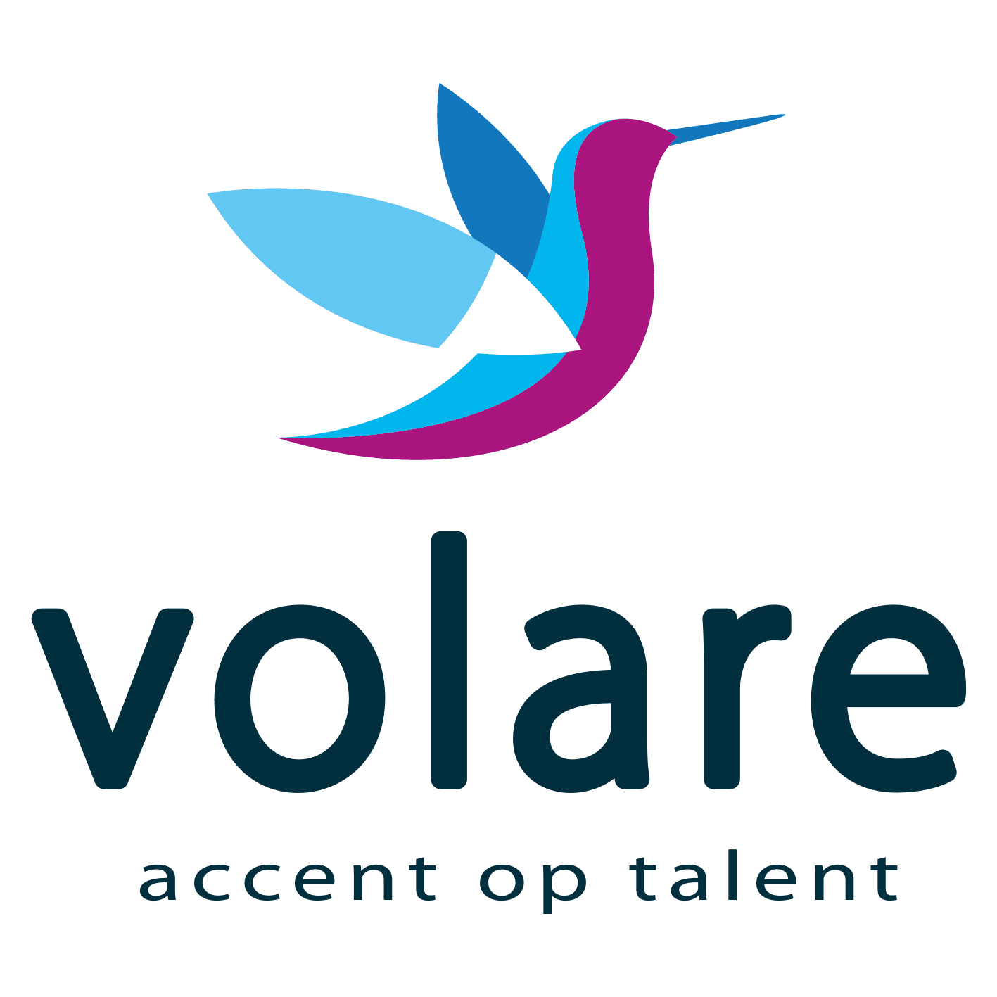 Volare arnhem logo